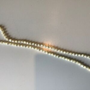 Mother of Pearl beaded necklace.